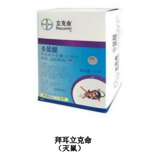 �ݶ�������